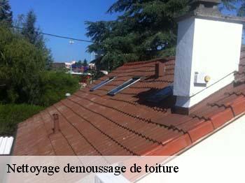 Nettoyage demoussage de toiture