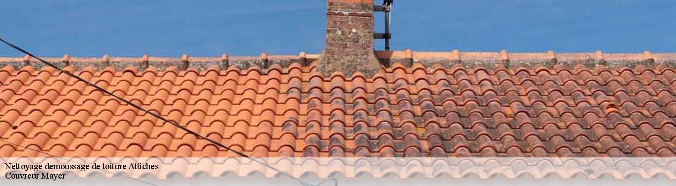 Nettoyage demoussage de toiture  attiches-59551 Couvreur Mayer