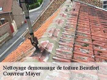 Nettoyage demoussage de toiture