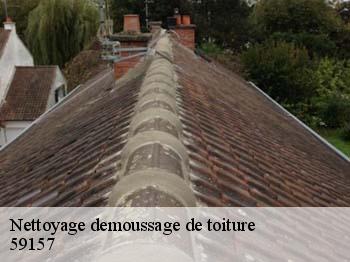 Nettoyage demoussage de toiture