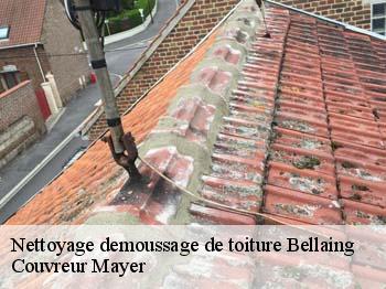 Nettoyage demoussage de toiture