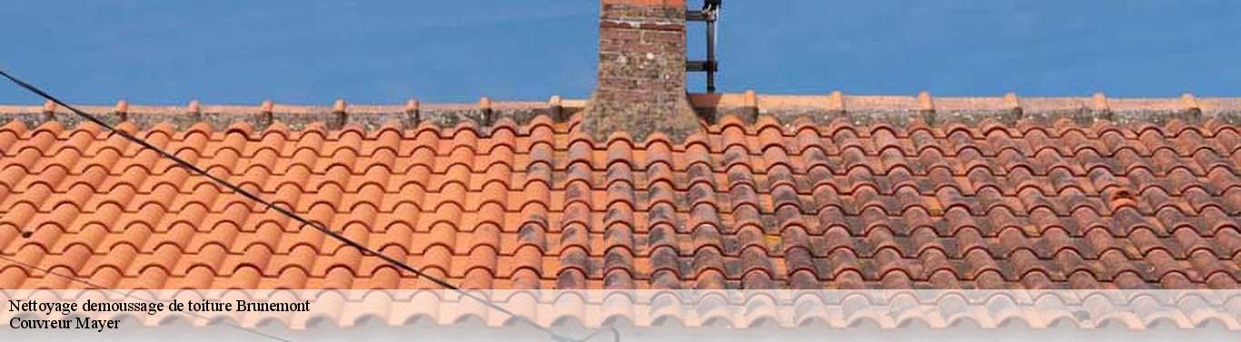 Nettoyage demoussage de toiture brunemont-59151 Couvreur Mayer