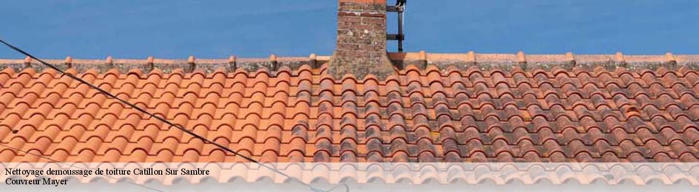 Nettoyage demoussage de toiture catillon-sur-sambre-59360 Couvreur Mayer