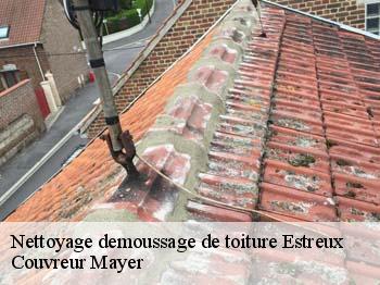 Nettoyage demoussage de toiture