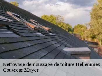 Nettoyage demoussage de toiture