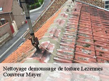 Nettoyage demoussage de toiture