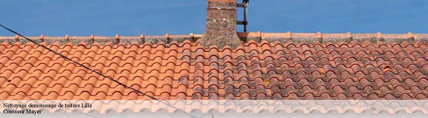 Nettoyage demoussage de toiture lille-59000 Couvreur Mayer