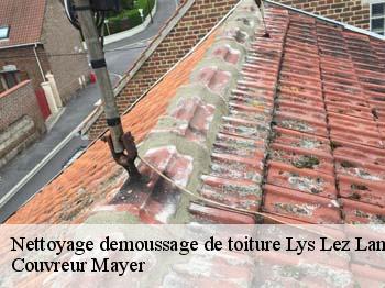 Nettoyage demoussage de toiture