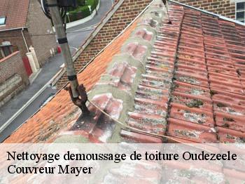 Nettoyage demoussage de toiture