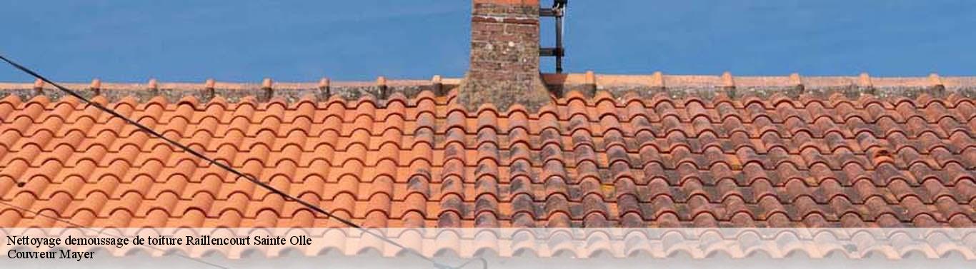 Nettoyage demoussage de toiture raillencourt-sainte-olle-59554 Couvreur Mayer