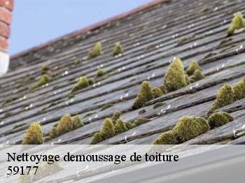 Nettoyage demoussage de toiture