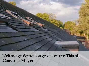 Nettoyage demoussage de toiture