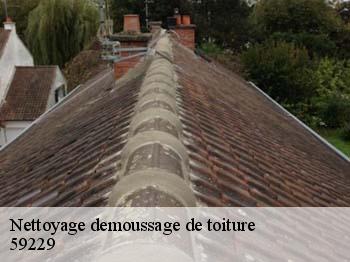 Nettoyage demoussage de toiture