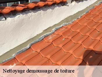 Nettoyage demoussage de toiture