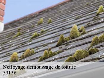 Nettoyage demoussage de toiture