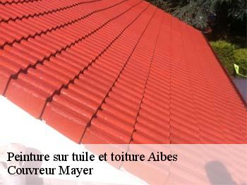 Peinture sur tuile et toiture