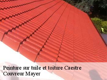 Peinture sur tuile et toiture