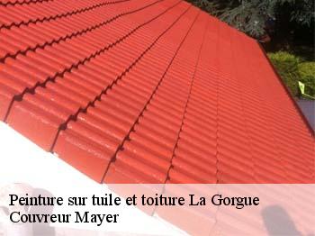 Peinture sur tuile et toiture