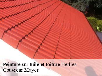 Peinture sur tuile et toiture