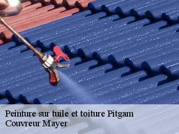 Peinture sur tuile et toiture