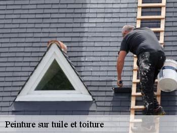 Peinture sur tuile et toiture