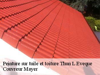 Peinture sur tuile et toiture