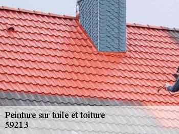 Peinture sur tuile et toiture