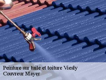 Peinture sur tuile et toiture