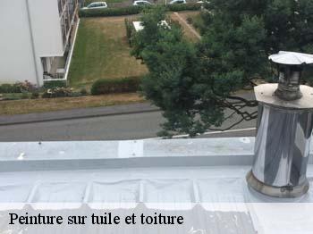 Peinture sur tuile et toiture