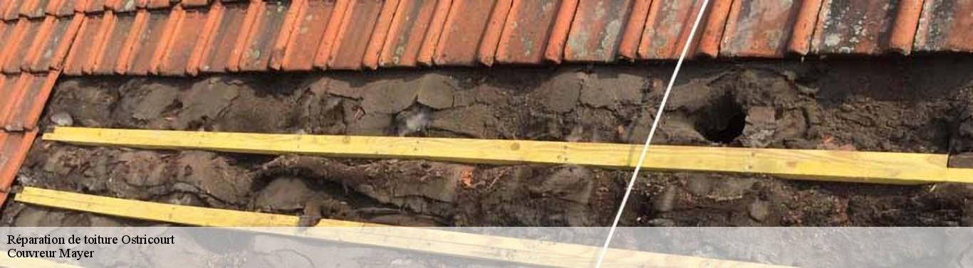 Réparation de toiture  ostricourt-59162 Couvreur Mayer