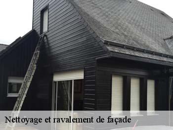 Nettoyage et ravalement de façade