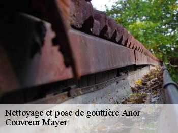 Nettoyage et pose de gouttière