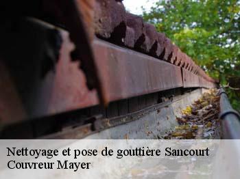 Nettoyage et pose de gouttière