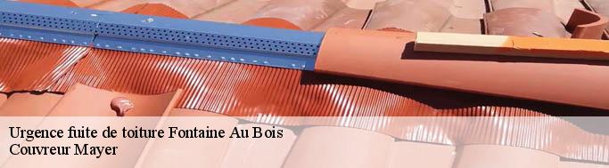 Urgence fuite de toiture  fontaine-au-bois-59550 Couvreur Mayer