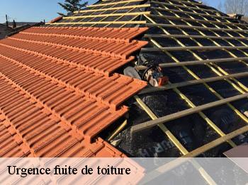 Urgence fuite de toiture