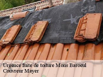 Urgence fuite de toiture