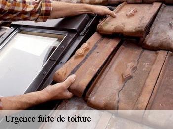 Urgence fuite de toiture
