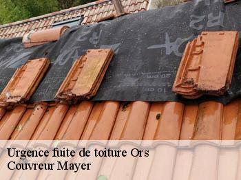 Urgence fuite de toiture